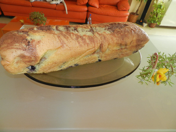 CHEC CU AFINE SI ZMEURA