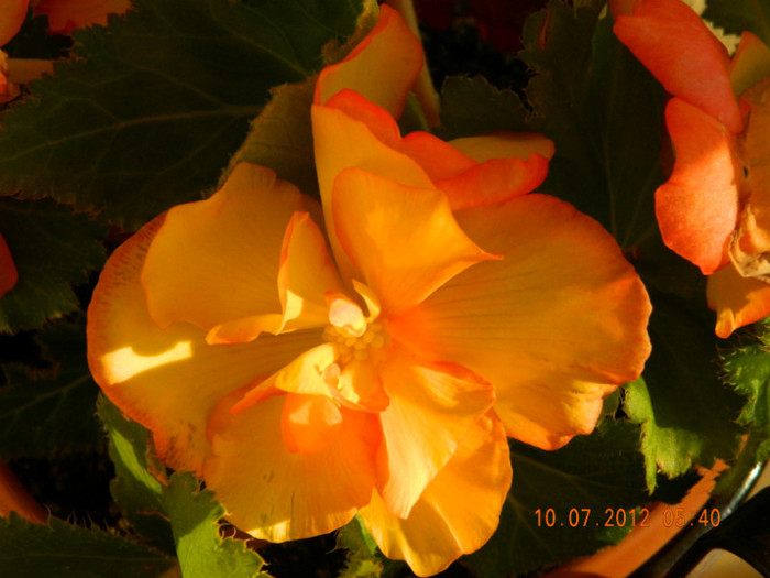 092