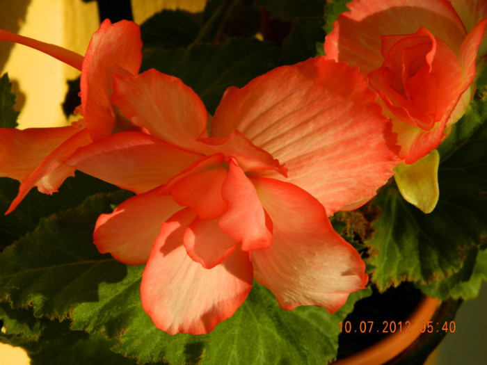 094