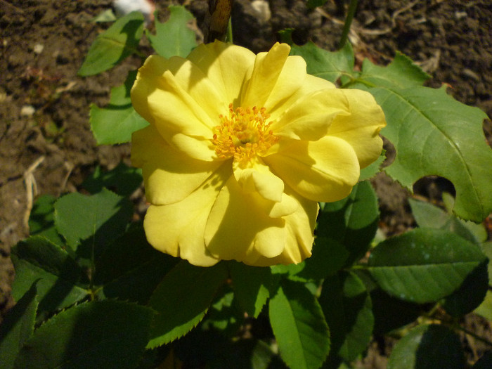 P1000978