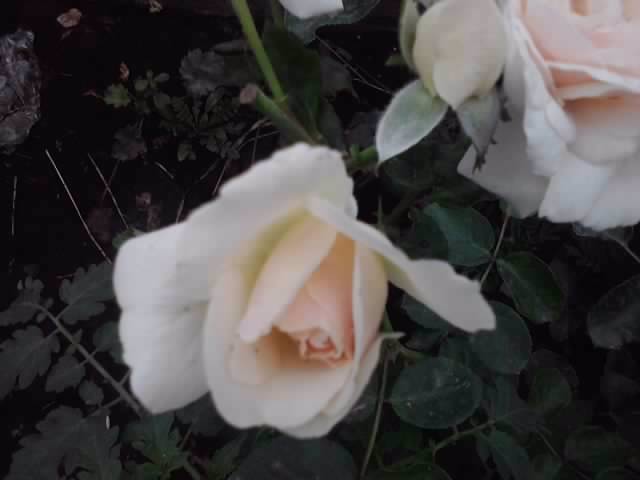 P130712_08.03_[04]