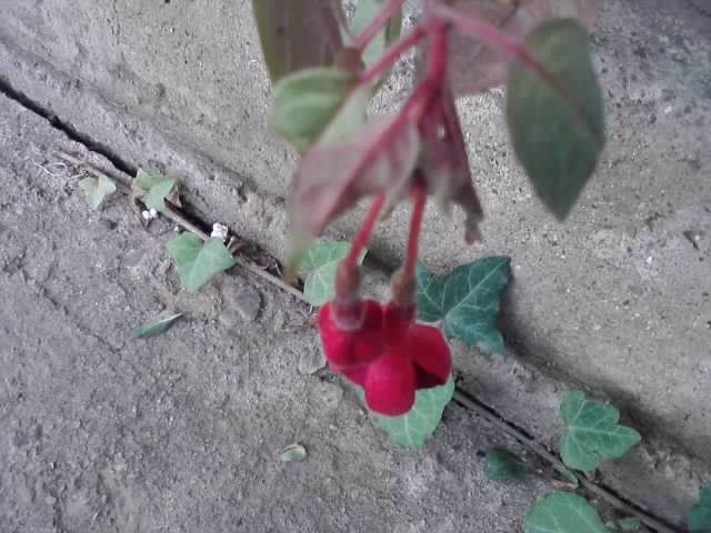 P130712_08.11_[03]