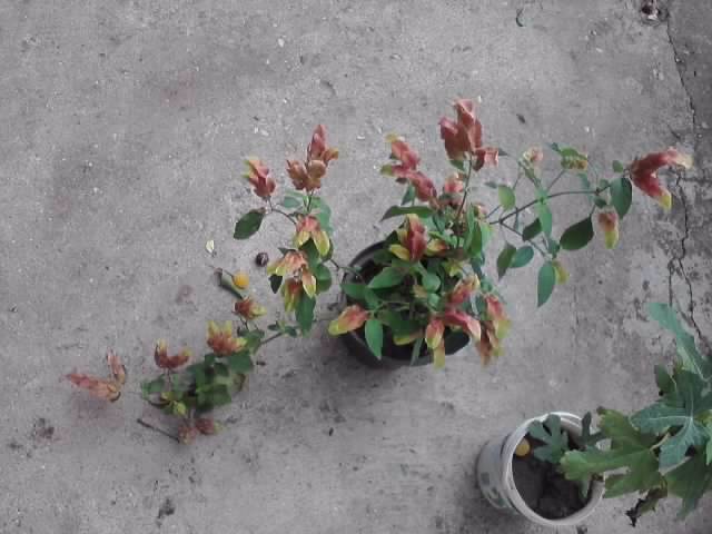 P130712_08.15