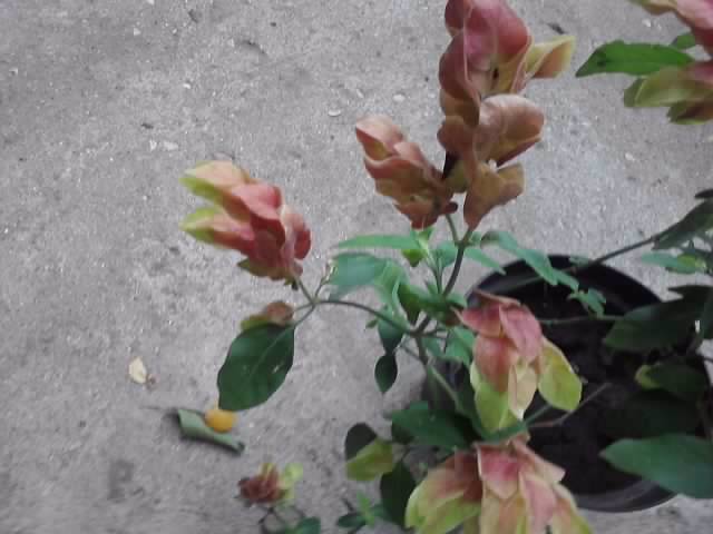 P130712_08.16