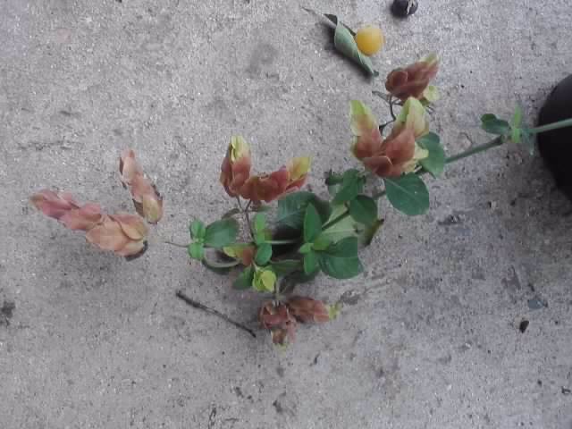 P130712_08.16_[01]