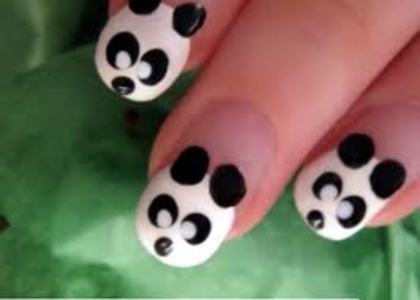 panda unghii - Unghi lungi