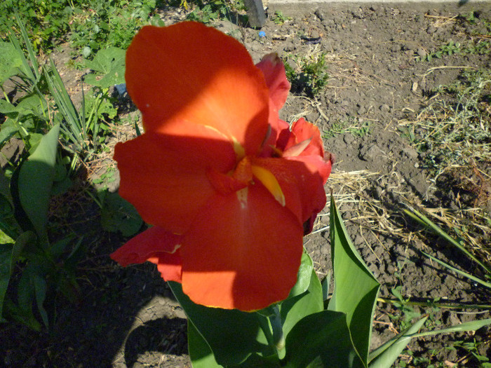 P1000982