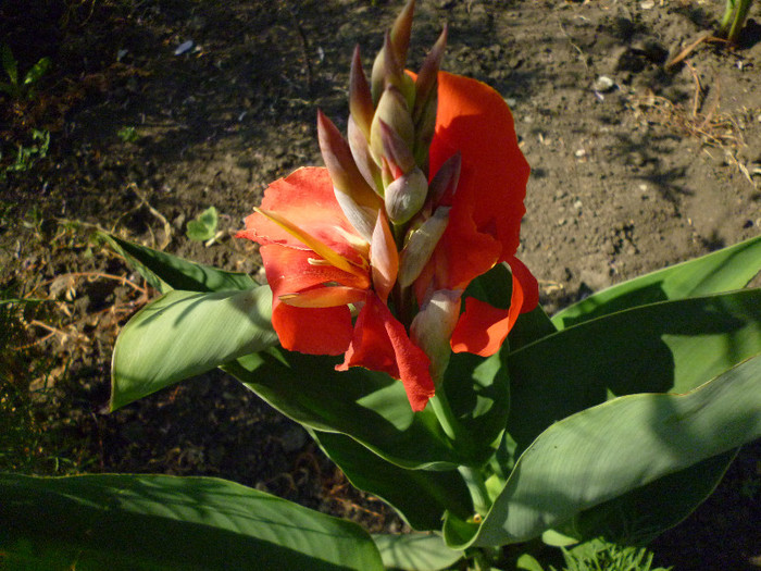 P1000983