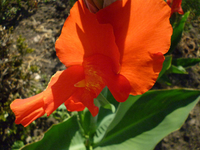P1000984