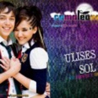 Camaleones_1256747771_3_2009 - Cameleonii