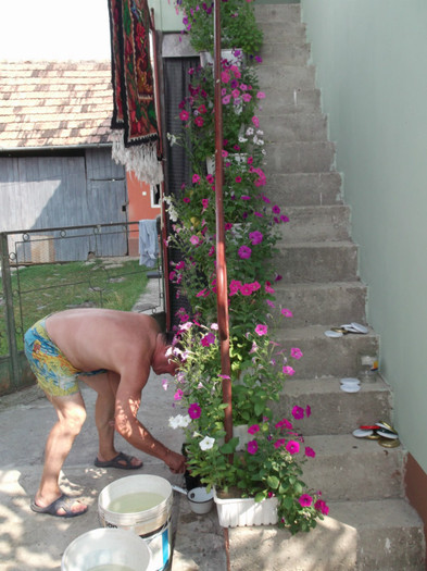 Picture 3961 - FERMA LUI NENEA TONY