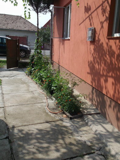 Picture 3963 - FERMA LUI NENEA TONY