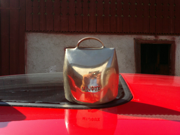 300620121012 - 5clopotele mele