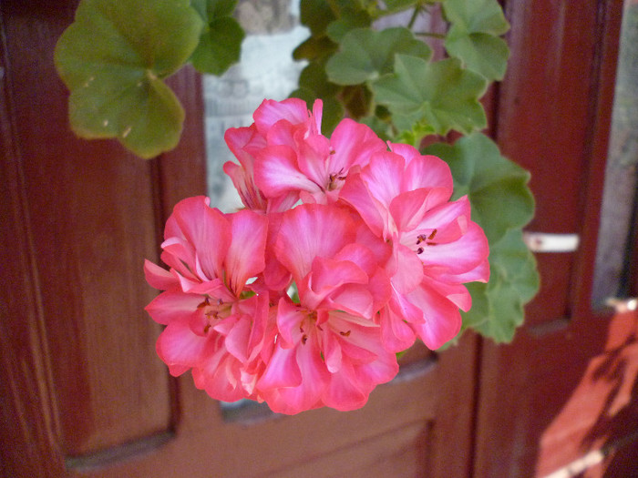 P1000986