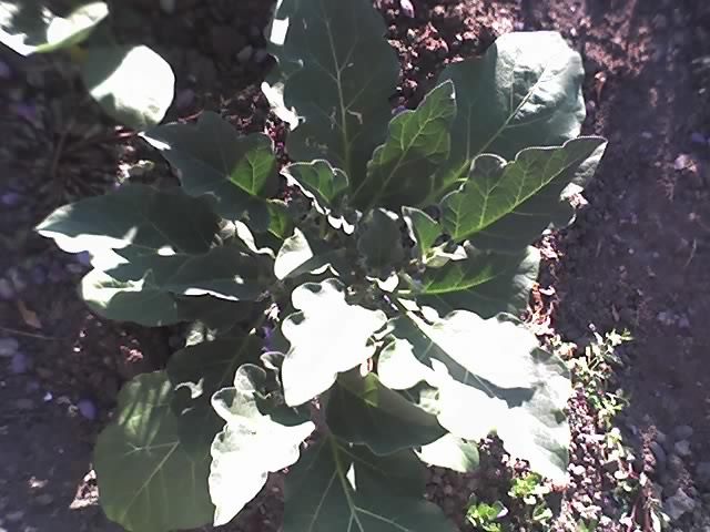 13-07-12_0719