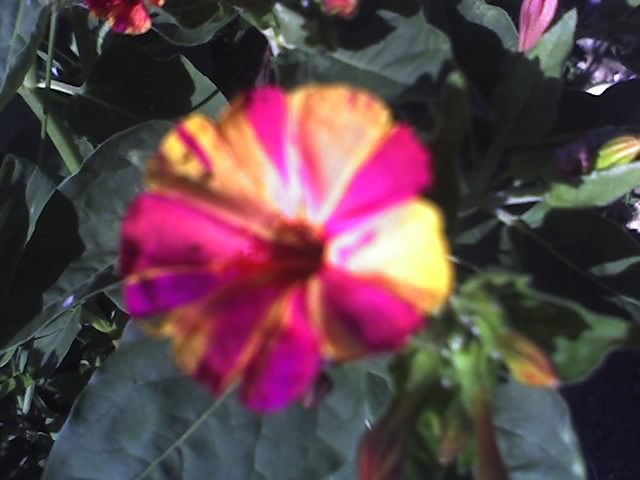 13-07-12_0726