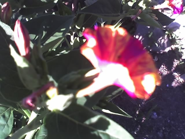 13-07-12_0727