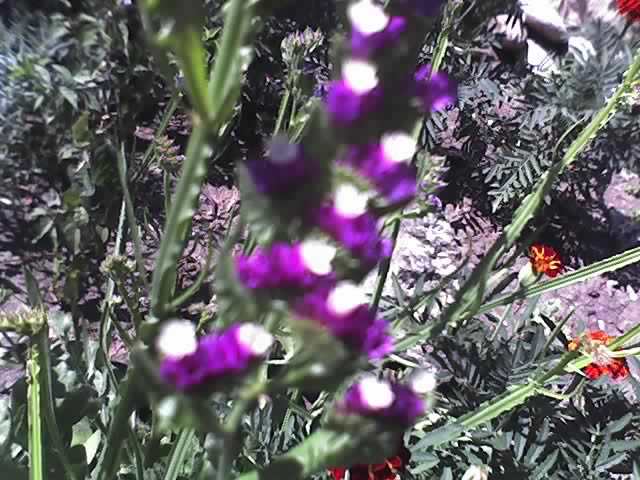 13-07-12_1055
