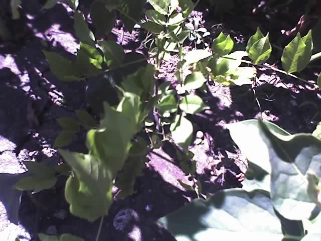 13-07-12_1059