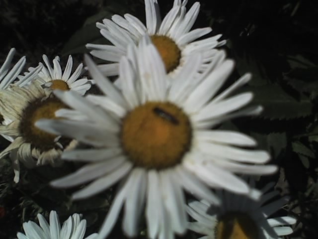 13-07-12_1100
