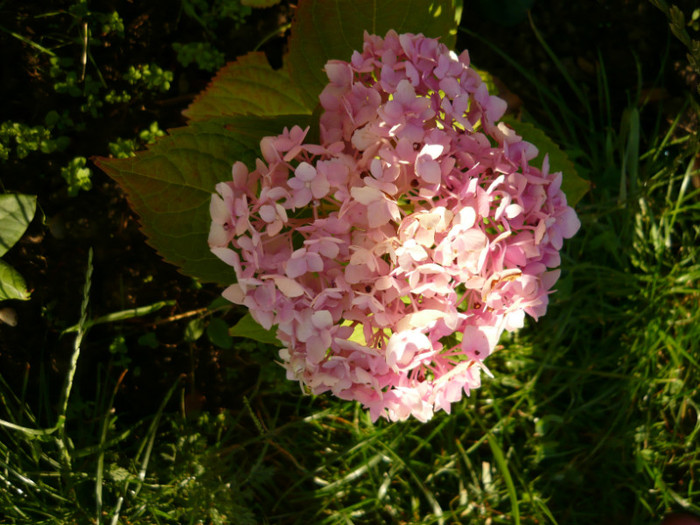 060