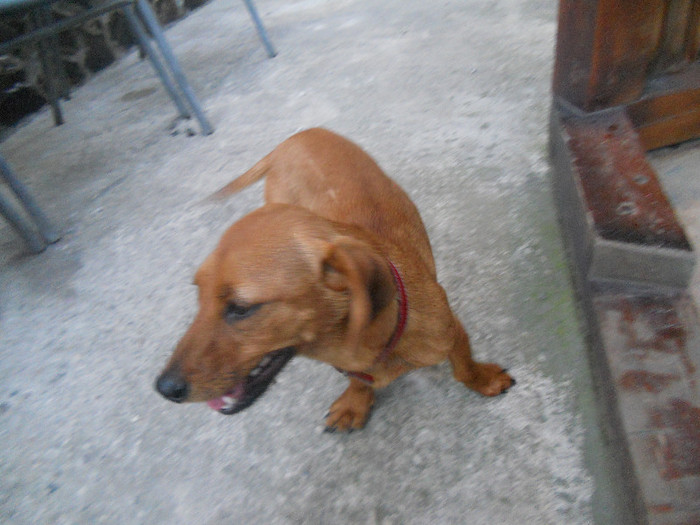 Picture 607 - AZI 14 07 2012