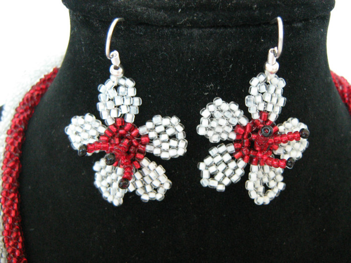 Picture 119 - 00 Flori 2012