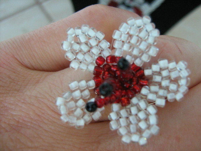 Picture 122 - 00 Flori 2012