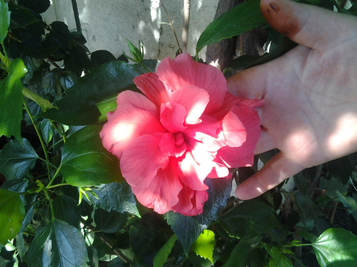 2012-07-14 10.47.56