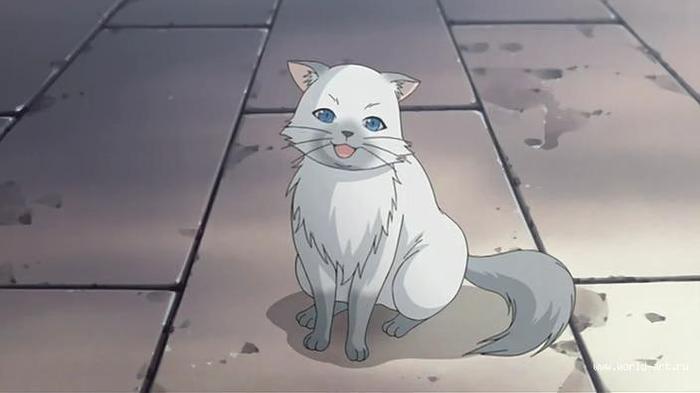 6795-35-optimize_d - Neo Angelique Abyss