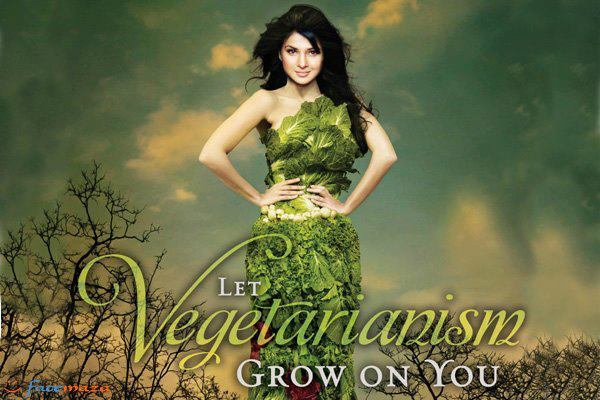 532275_381210755279539_453649458_n - jennifer winget11