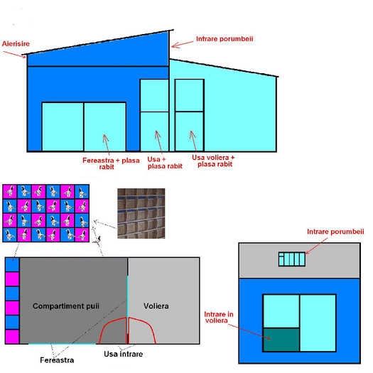 Asa ar ..trebuii'' sa arate - Compartiment puii