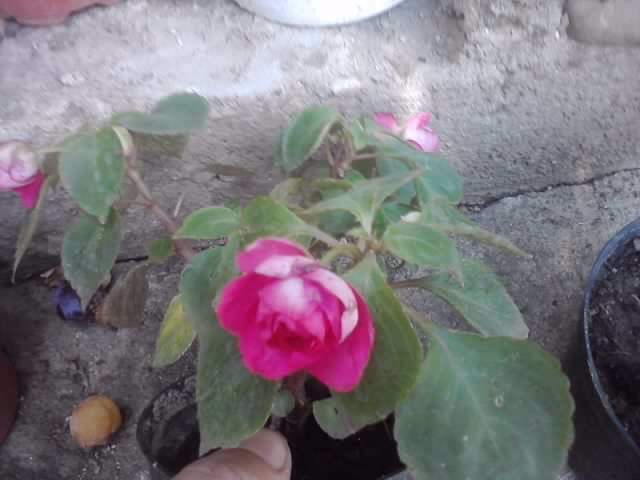 P160712_13.44_[01]