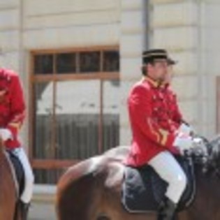 Aniela_1275622157_0_2009