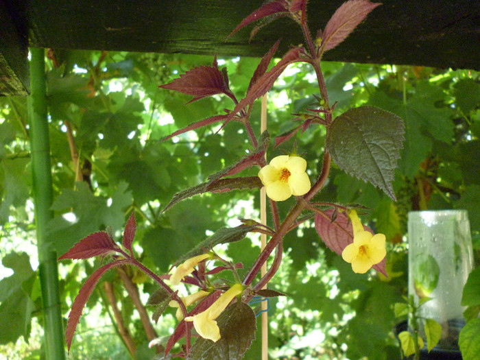 P1000993