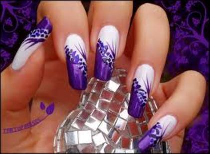 nails violette - Unghi lungi