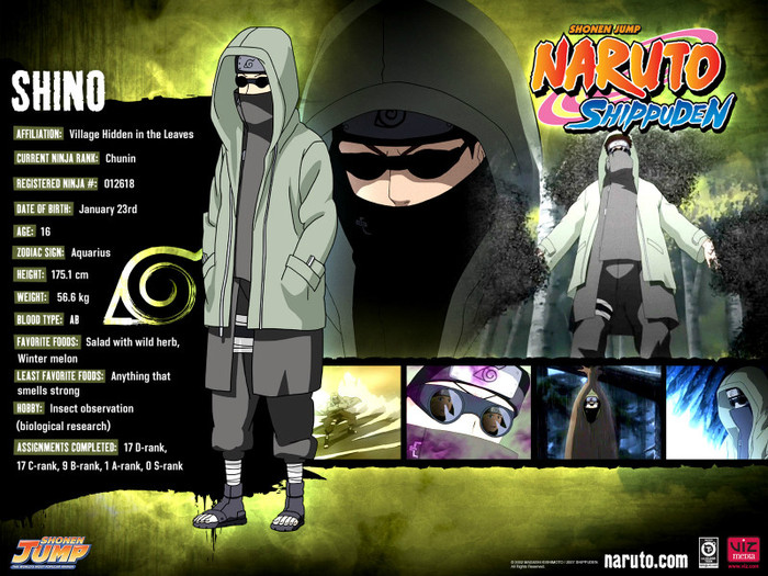 Shino Aburame - Naruto Personaje