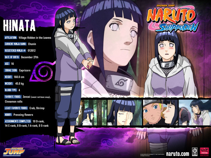 Hinata Hyuuga - Naruto Personaje