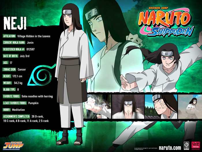 Neji Hyuuga - Naruto Personaje