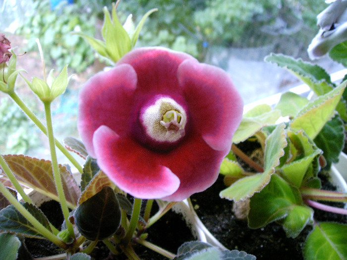 IMAG0028