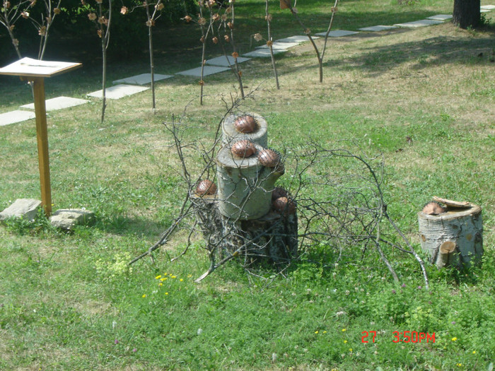 gb5 - gradina botanica din Iasi