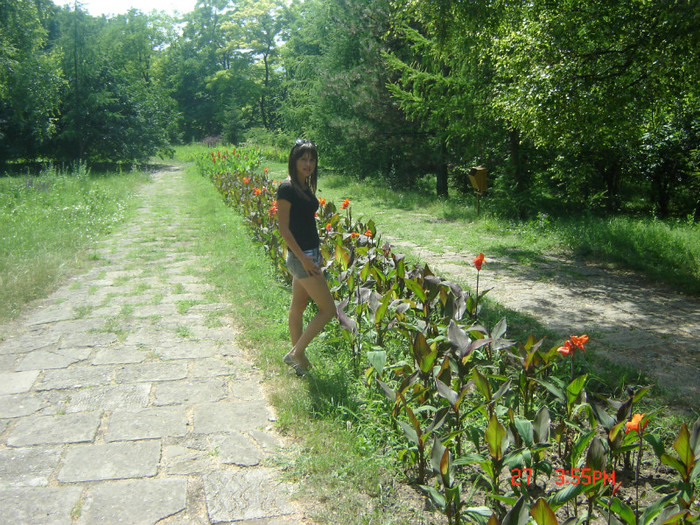 gb8 - gradina botanica din Iasi
