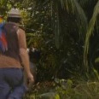 Wizards_of_Waverly_Place_The_Movie_1252726834_0_2009