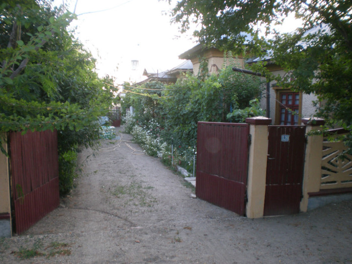 13 - Poze Hobaia Giurgiu