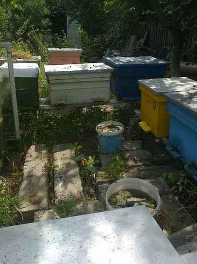 15,13.17 - Apicol 2011-2012