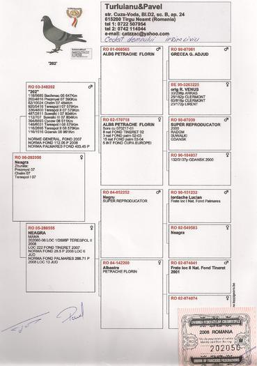 ped 202050 - ACHIZITII 2012