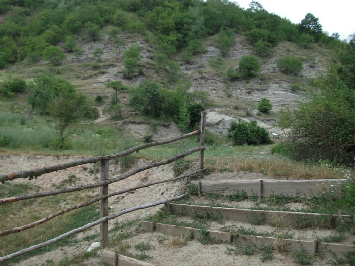 Dealul Mare al Dinozaurilor - Geoparcul Dinozaurilor-Tara Hategului