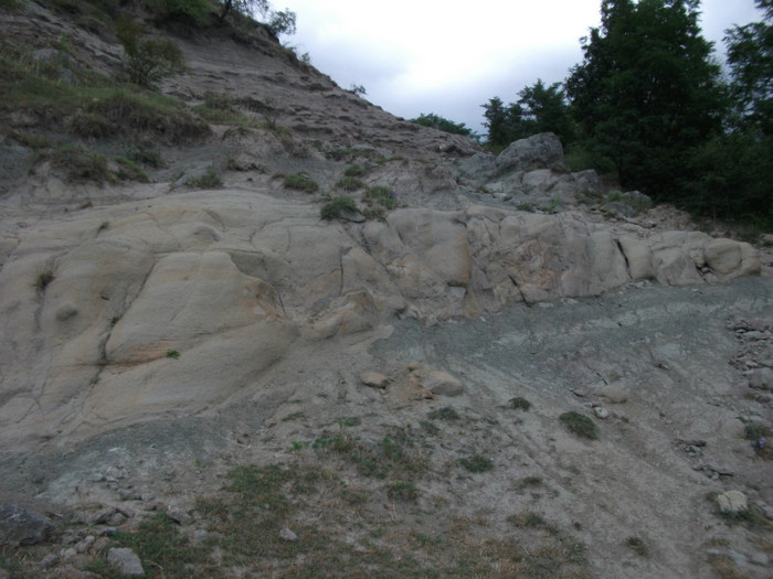 Dealul Mare al Dinozaurilor - Geoparcul Dinozaurilor-Tara Hategului