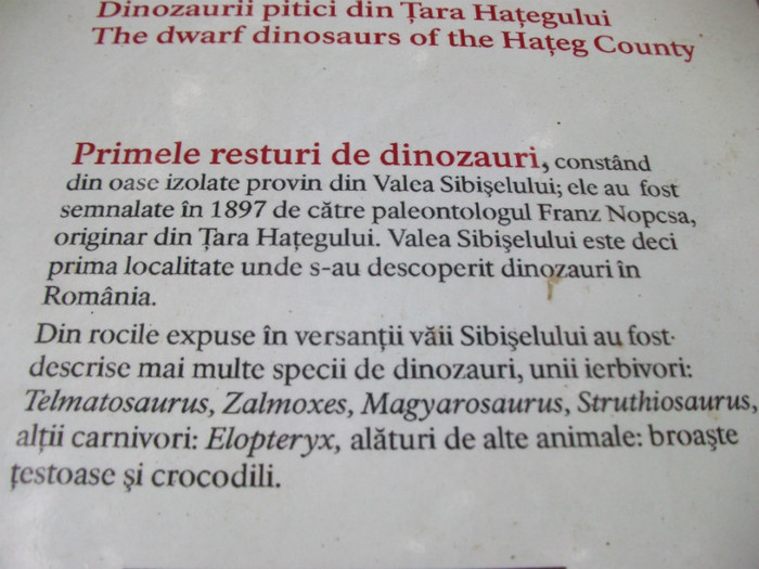 Picture 119 - Geoparcul Dinozaurilor-Tara Hategului