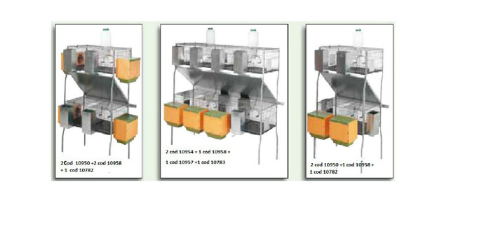 LINIA  PENTA  2 ETAJ - 4-CATALOG PRODUSE PENTRU  IEPURI